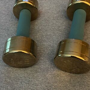 Blogilates Gold Dumbbells 8lbs each (set)